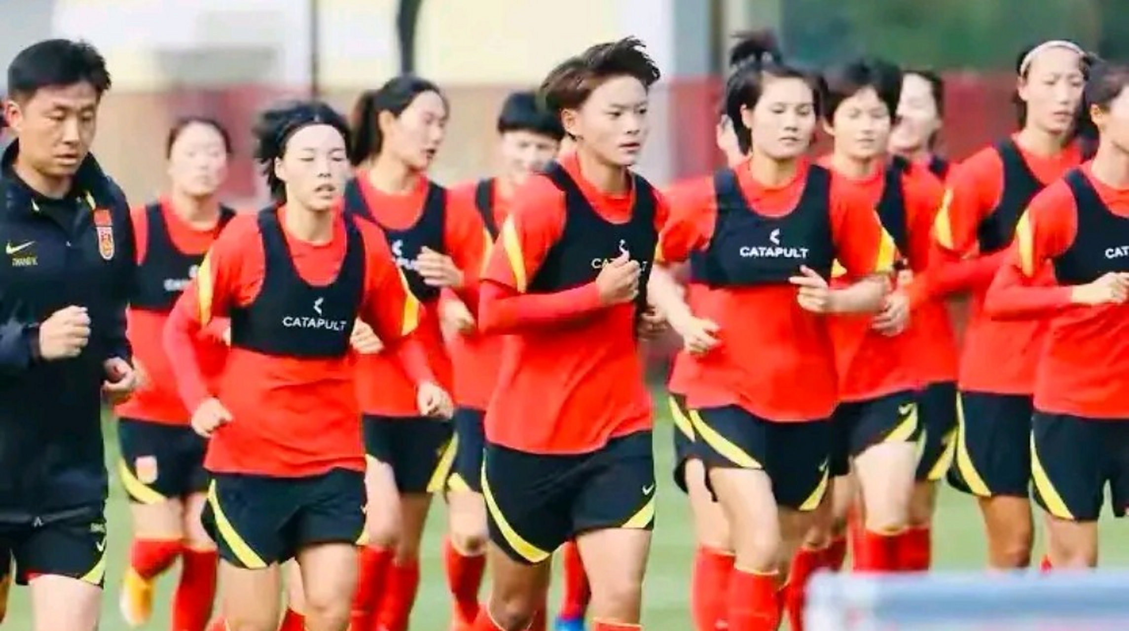 关于中国女足年度最佳阵容揭晓，杨丽领衔的信息