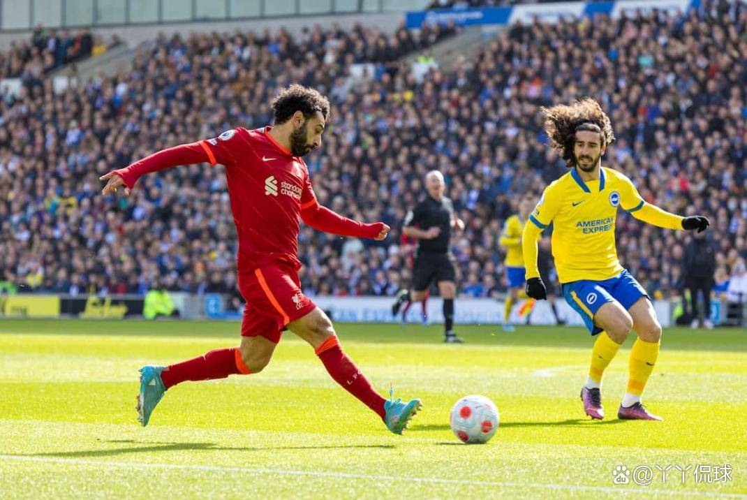 诺维奇客场击败布莱顿，取得关键三分