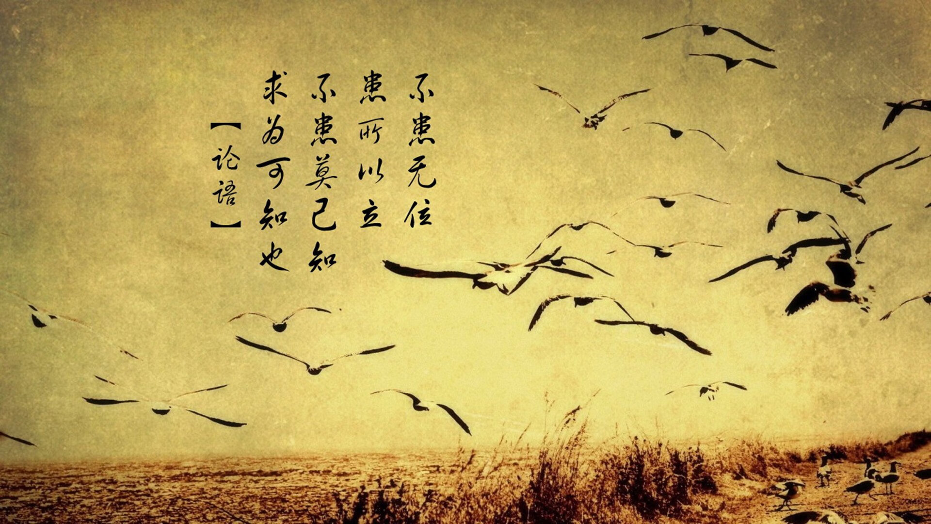 F1新赛季揭幕战焦点，爱尔兰车手强压瑞典对手，引爆巴林赛道