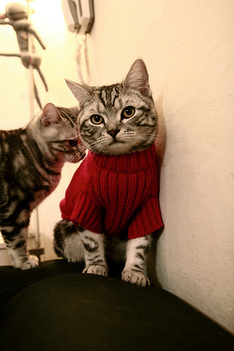 奥纳纳的魔力,关键先生的决胜一射,助尤文从勒沃库森带走胜利