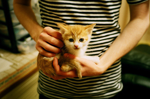 绿茵场的利拉德时刻，当致命三分箭射穿足球之夜