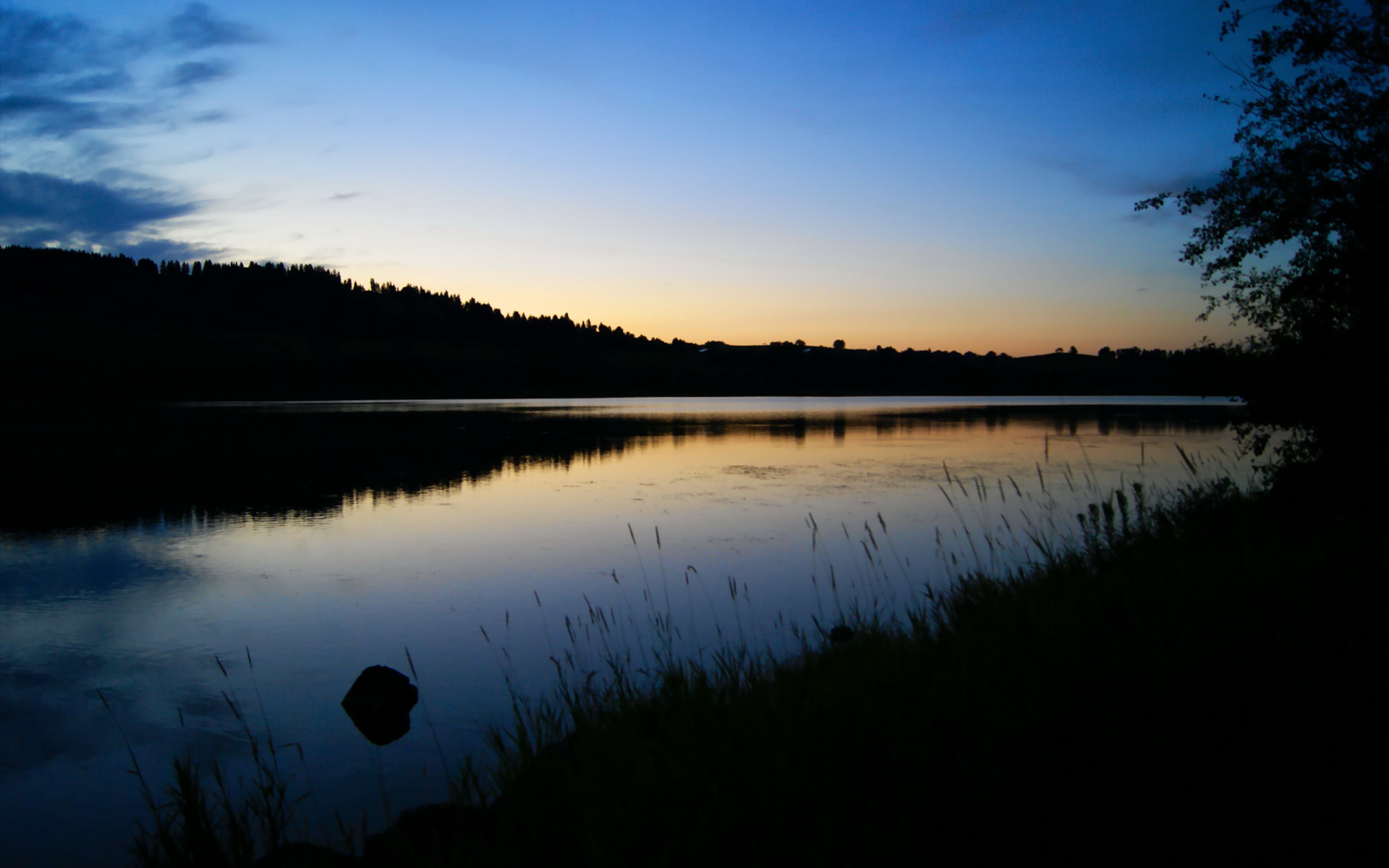 哈利伯顿化身新生代魔术师，绿军防线在他面前黯然失色